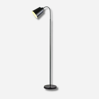 Veylo | Modern golvlampa med justerbar svanhals för läsning och heminredning