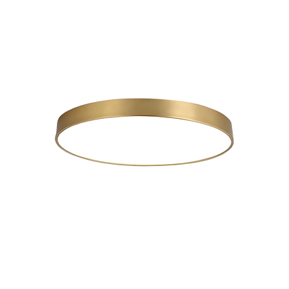 Modern Ringformad LED Taklampa i Metall och Akryl – Elegant Plafond för Inomhusbelysning